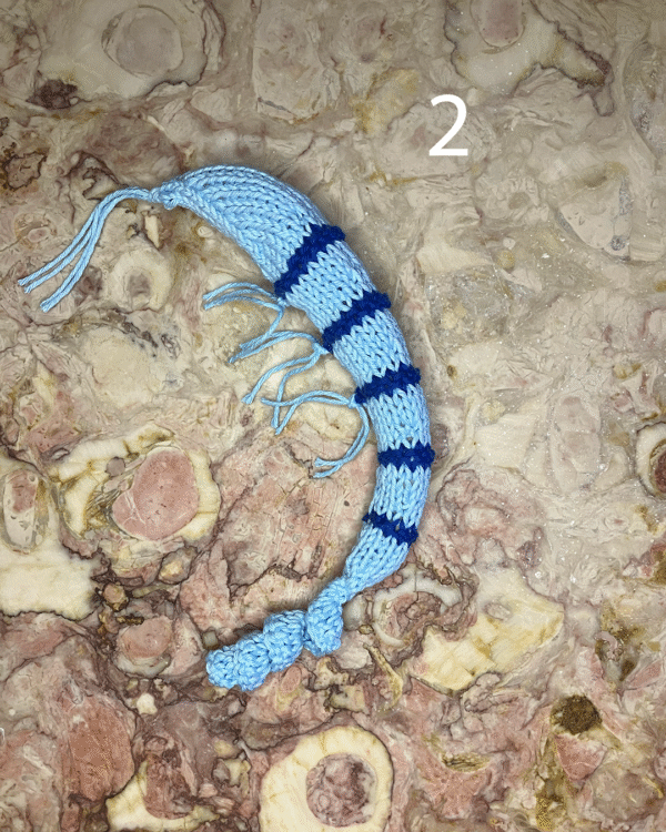 Camarão para o seu gato! www.mariamarket.pt