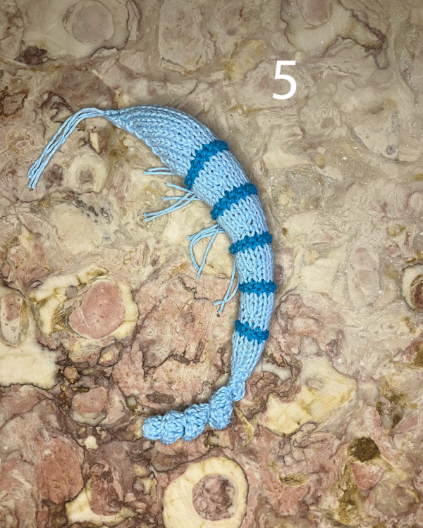 Camarão para o seu gato! www.mariamarket.pt