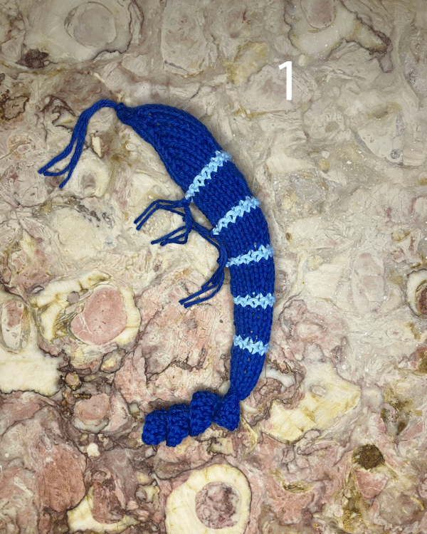 Camarão para o seu gato! www.mariamarket.pt