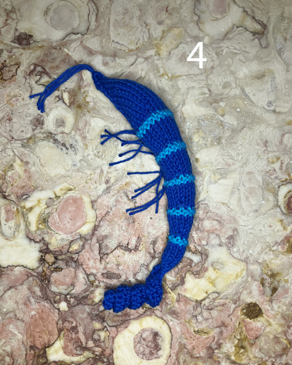 Camarão para o seu gato! www.mariamarket.pt