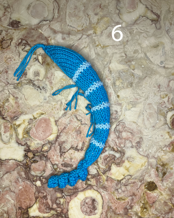 Camarão para o seu gato! www.mariamarket.pt