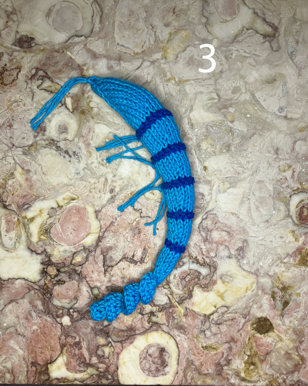 Camarão para o seu gato! www.mariamarket.pt