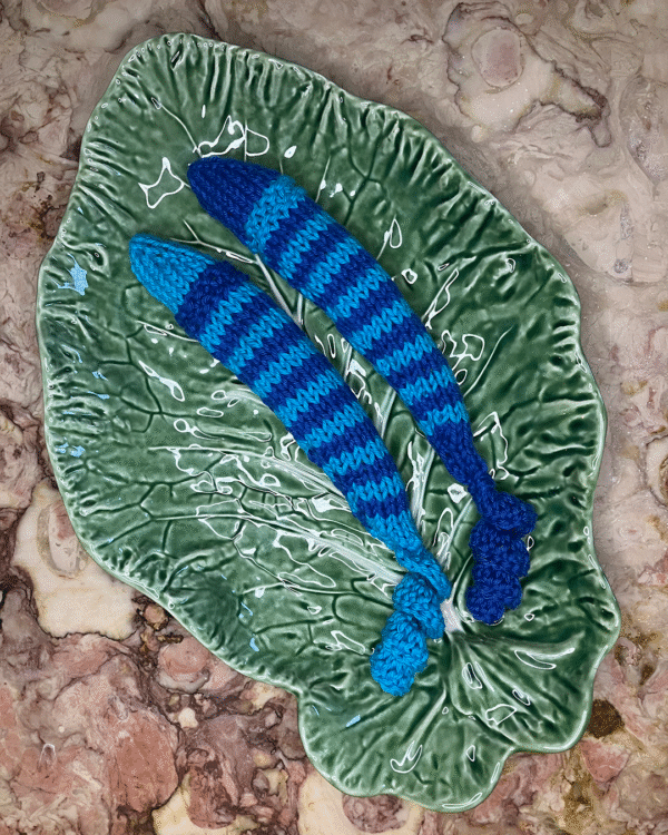 Sardinha para o seu gato! www.mariamarket.pt