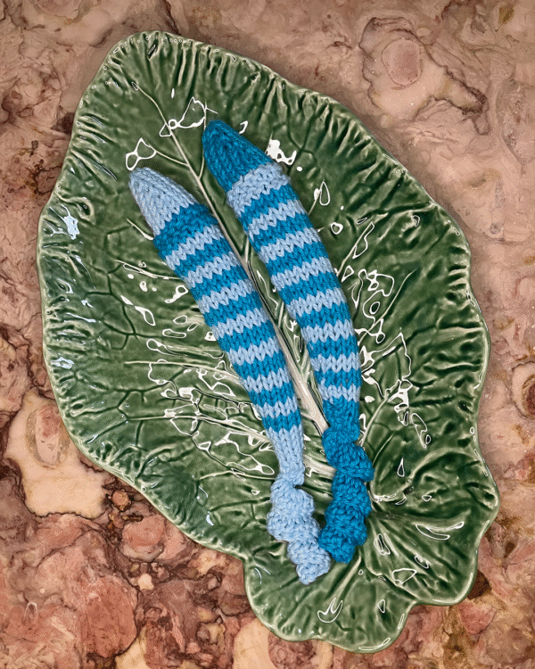 Sardinha para o seu gato! www.mariamarket.pt