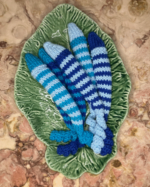 Sardinha para o seu gato! www.mariamarket.pt