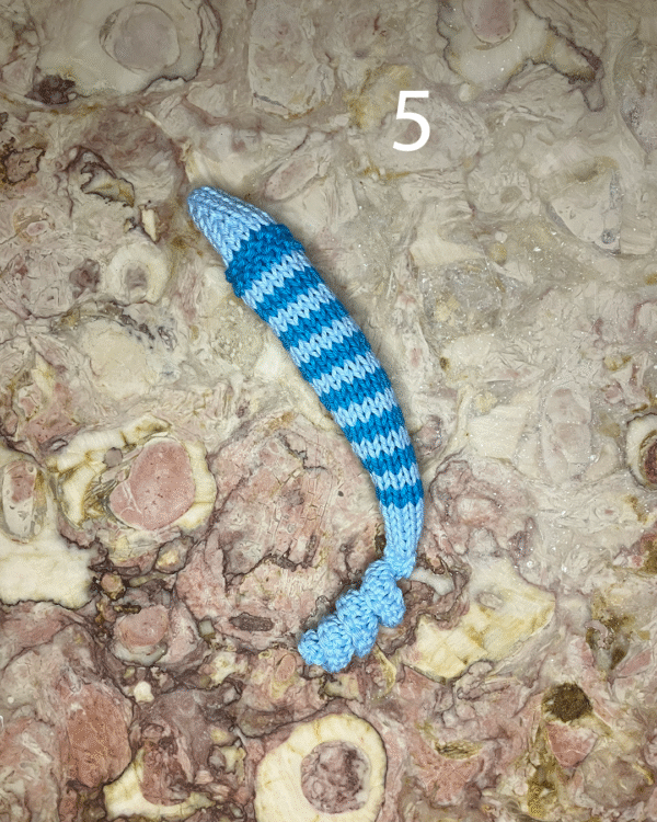 Sardinha para o seu gato! www.mariamarket.pt