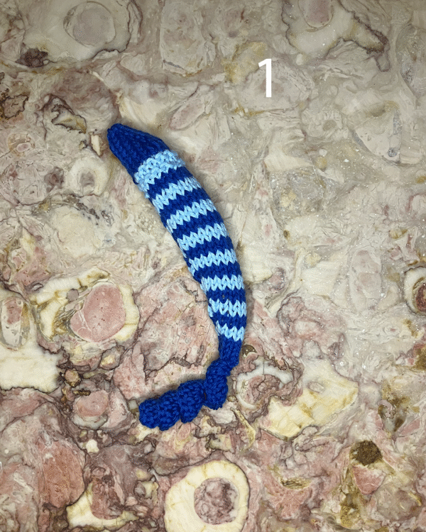 Sardinha para o seu gato! www.mariamarket.pt