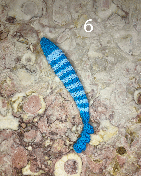 Sardinha para o seu gato! www.mariamarket.pt